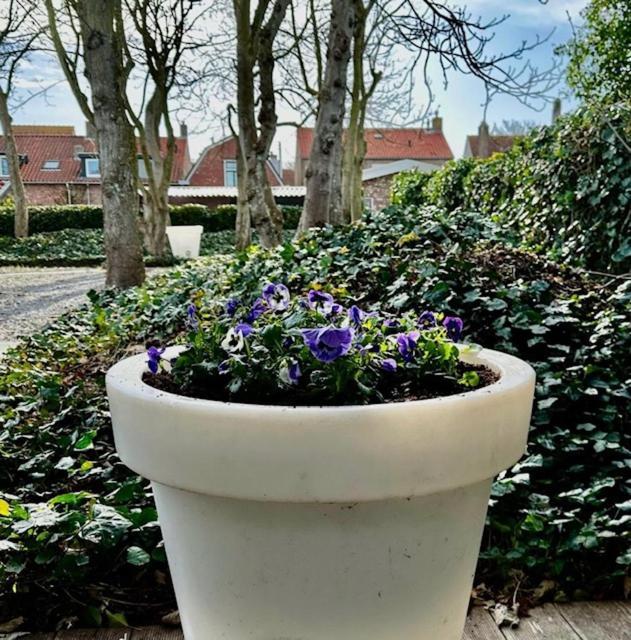 Hello Zeeland - Appartementen Herenstraat 19 - Zee & Zand ดอมเบิร์ก ภายนอก รูปภาพ